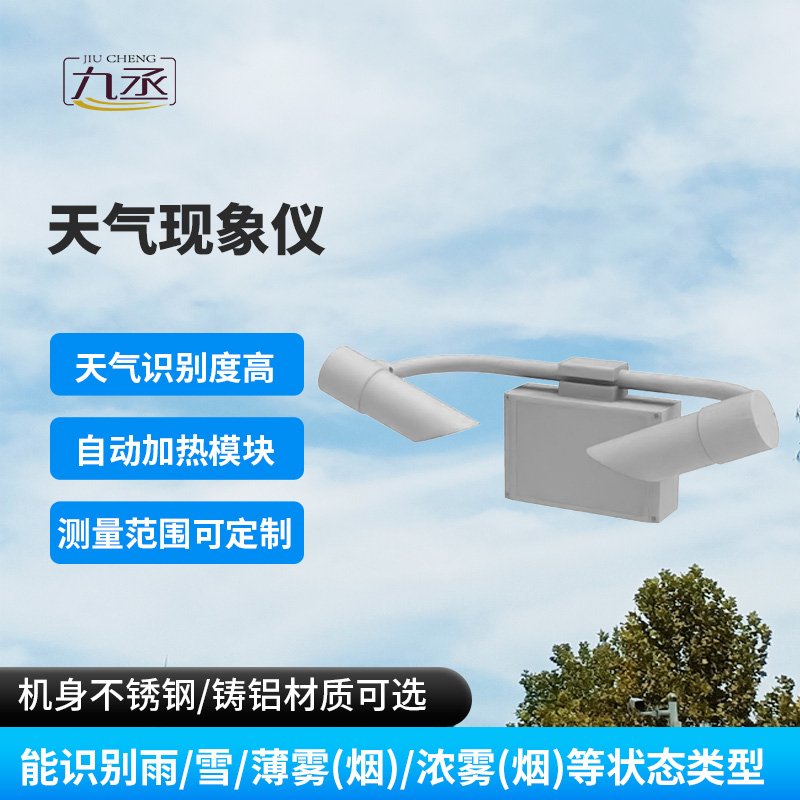 天气现象检测器